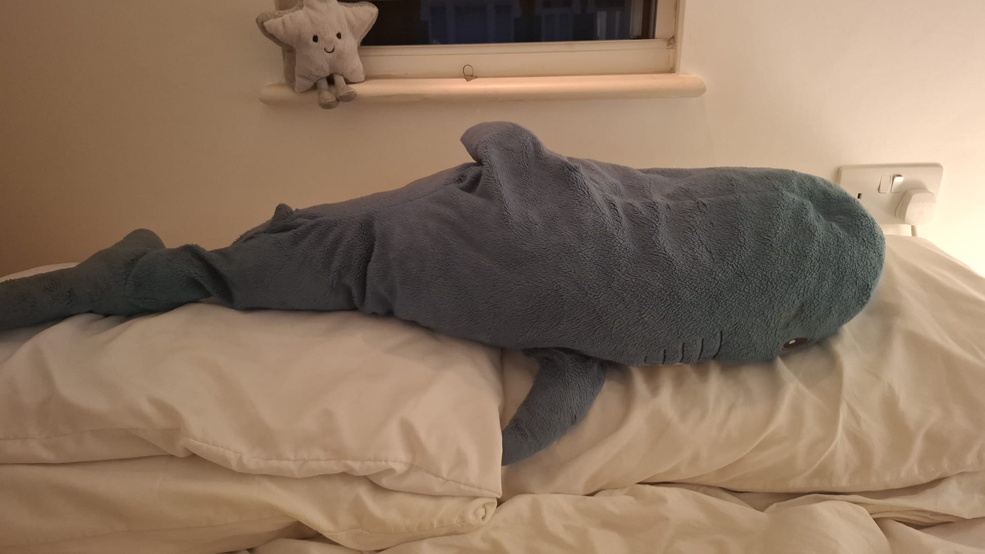 A very large shark